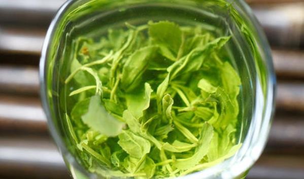 日照绿茶用什么保存比较好？都有哪些保存方法？