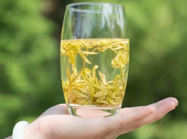 黄茶的功效有哪些？