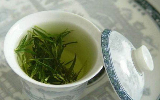 仙人掌茶是什么茶，仙人掌茶的品质特征