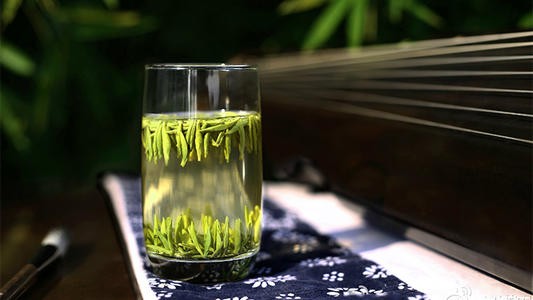 炒青绿茶的泡法