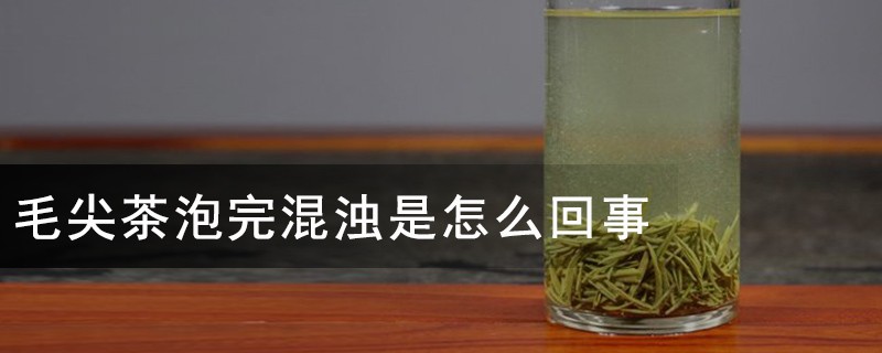 毛尖茶泡完混浊是怎么回事，信阳毛尖越浑浊越好吗