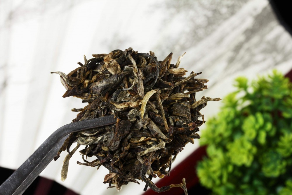 普洱茶生茶和熟茶哪种好