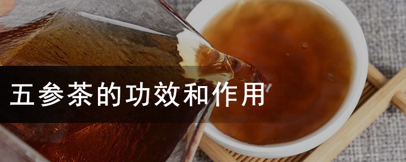 五参茶的功效和作用