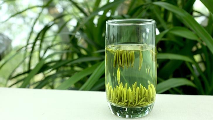 泡明前茶的水温多少适宜