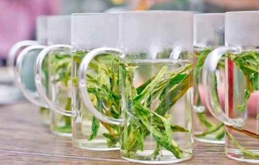 太平猴魁茶怎么泡好喝