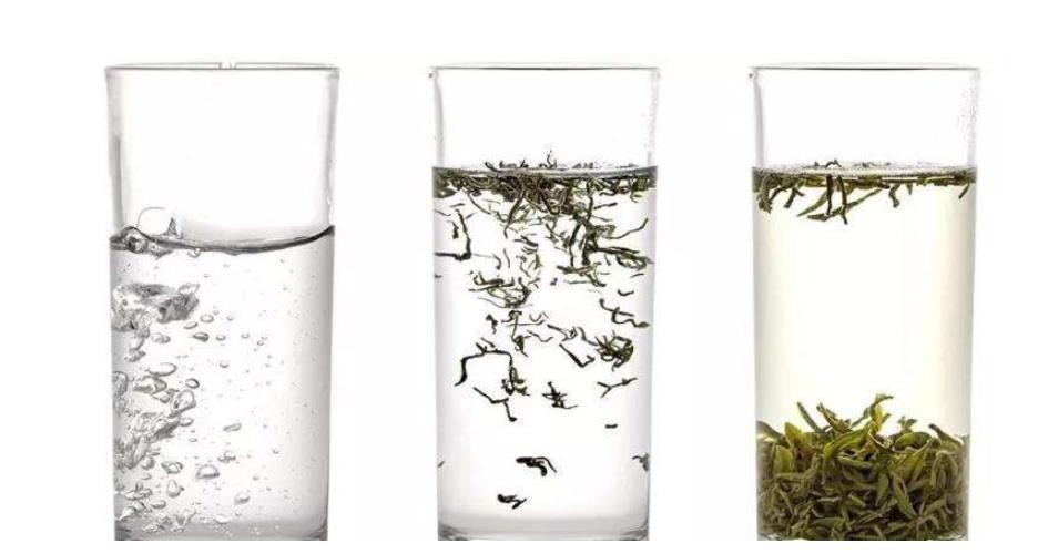 绿茶：我最怕的就是先放茶叶再倒水，正确的泡法就该是这样的