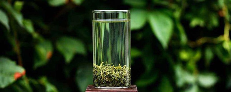 绿茶的表现和典型特征 常见绿茶的品种及特点