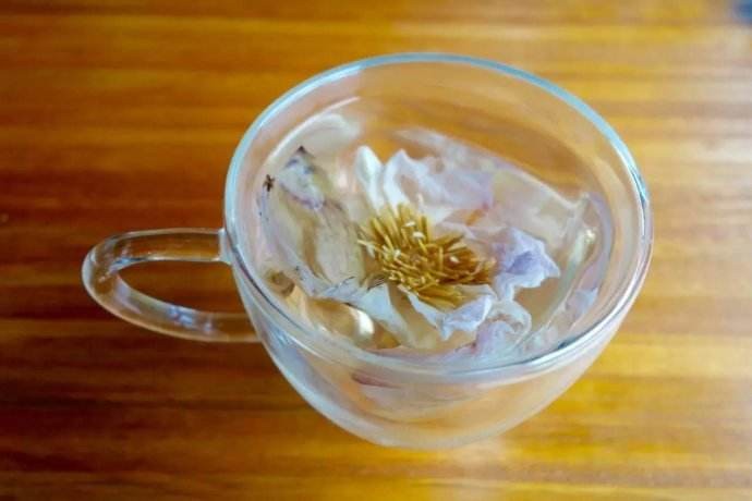 荷花茶的功效与禁忌
