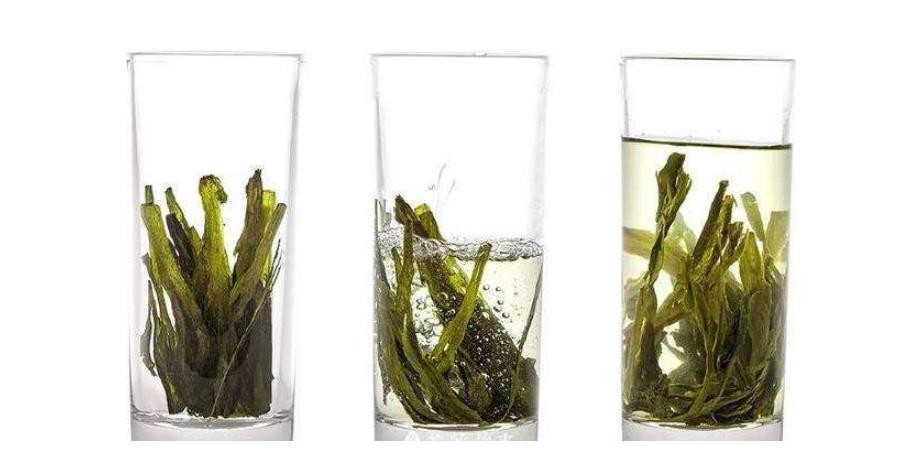 绿茶：我最怕的就是先放茶叶再倒水，正确的泡法就该是这样的
