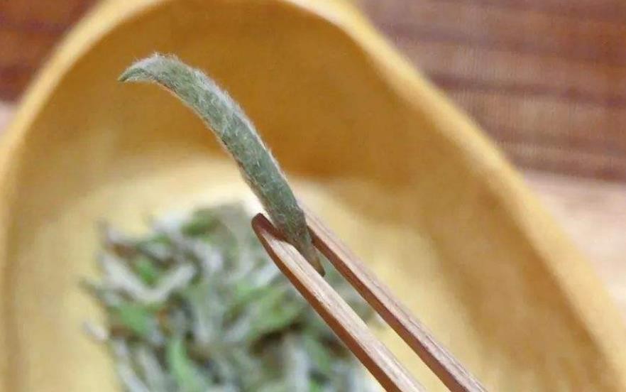 泡茶时茶汤中的杂质为何物，新手入门懂茶第一课