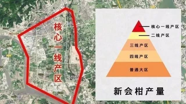 小青柑是一种什么橘子