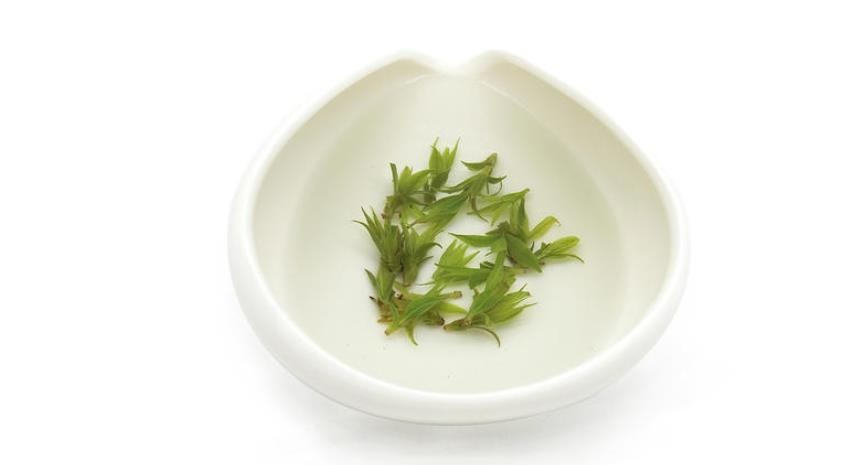 余庆小叶苦丁茶的功效与作用