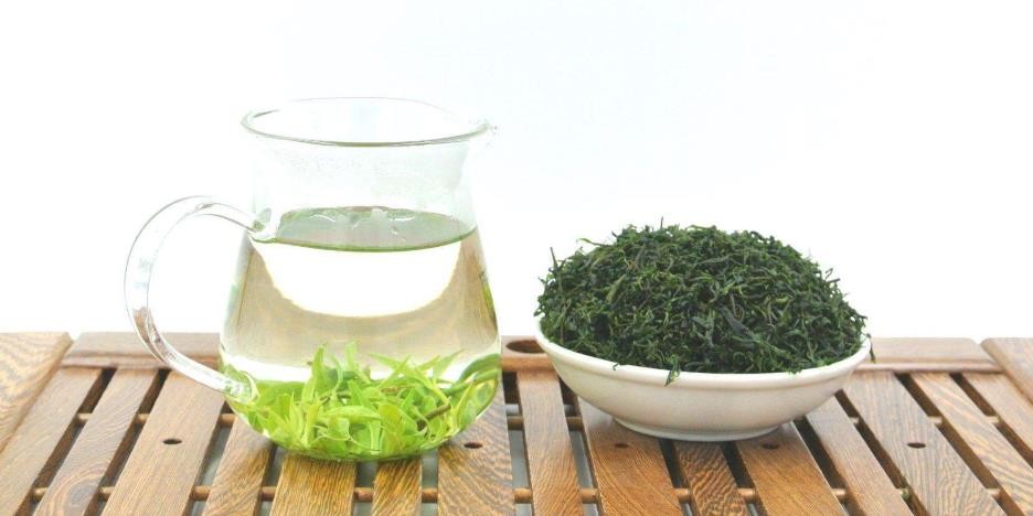 苦丁茶大叶和小叶功效