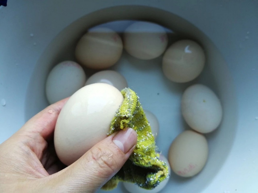 铁观音可以煮茶叶蛋吗