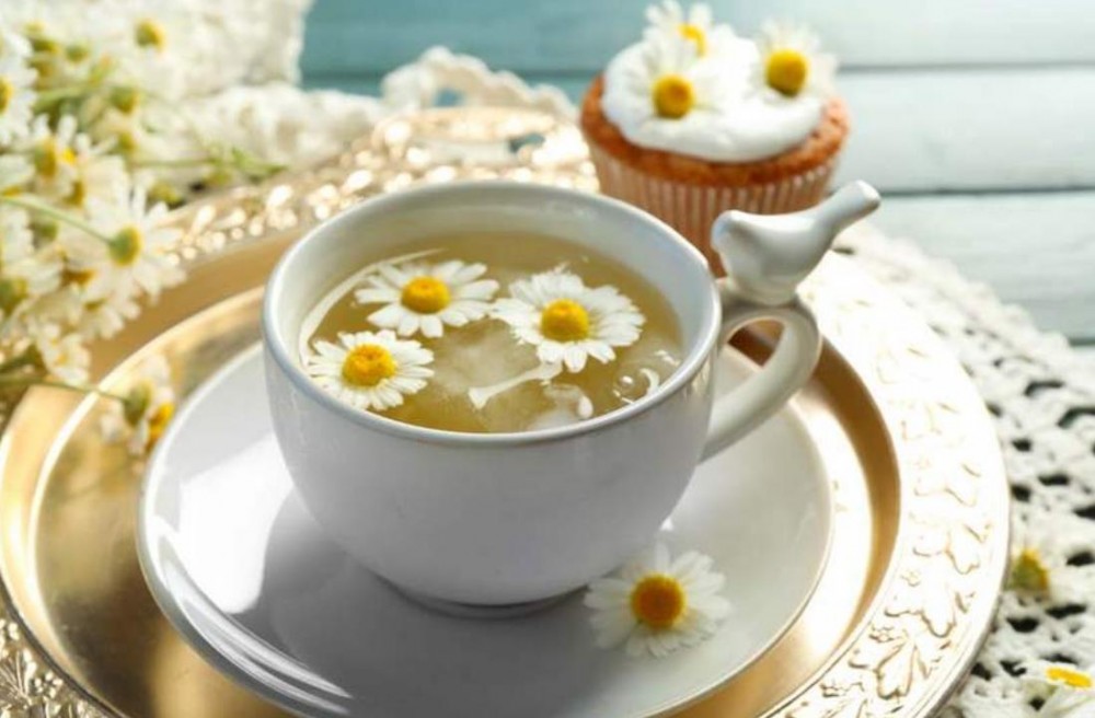冰菊花茶的功效与作用