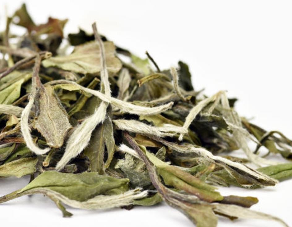 白牡丹茶的功效与禁忌
