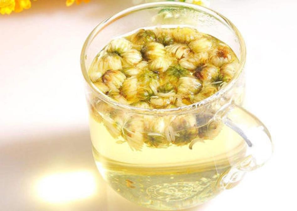 野胎菊的功效与作用