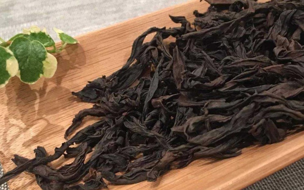 大红袍属于什么茶种