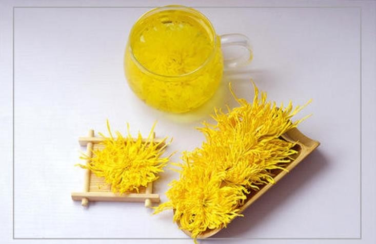 皇菊的功效和作用