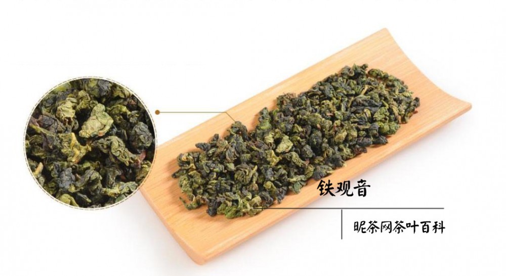 福建铁观音生长条件