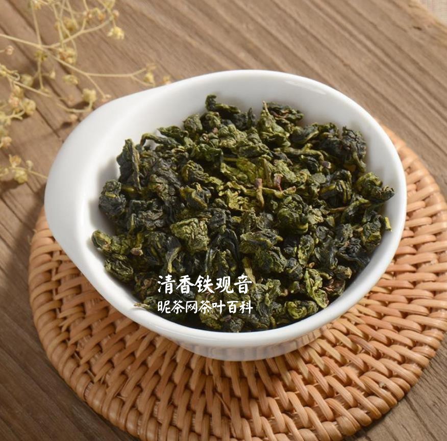 福建铁观音生长条件