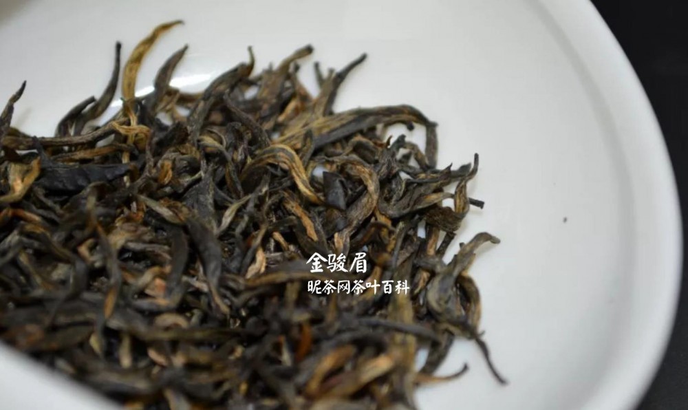 女生喝大红袍还是金骏眉