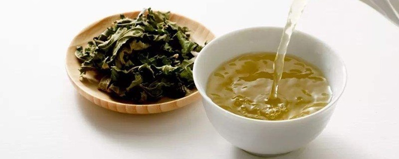 喝桑叶茶有什么好处