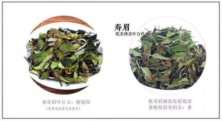 白茶的分类