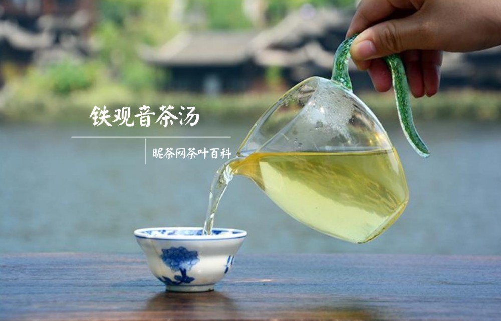 请问铁观音属于绿茶吗