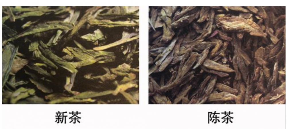 龙井新茶和老茶有什么区别