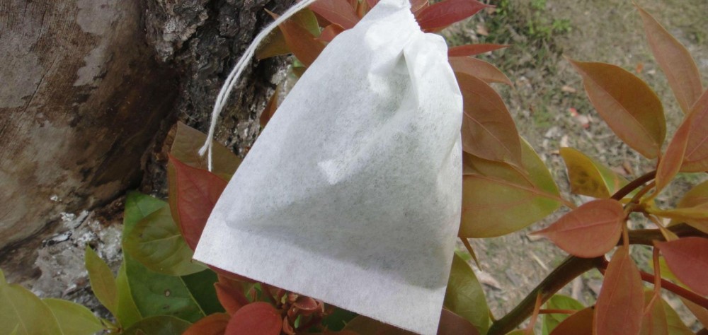 过期茶叶的八大妙用，茶叶一般可以放几年