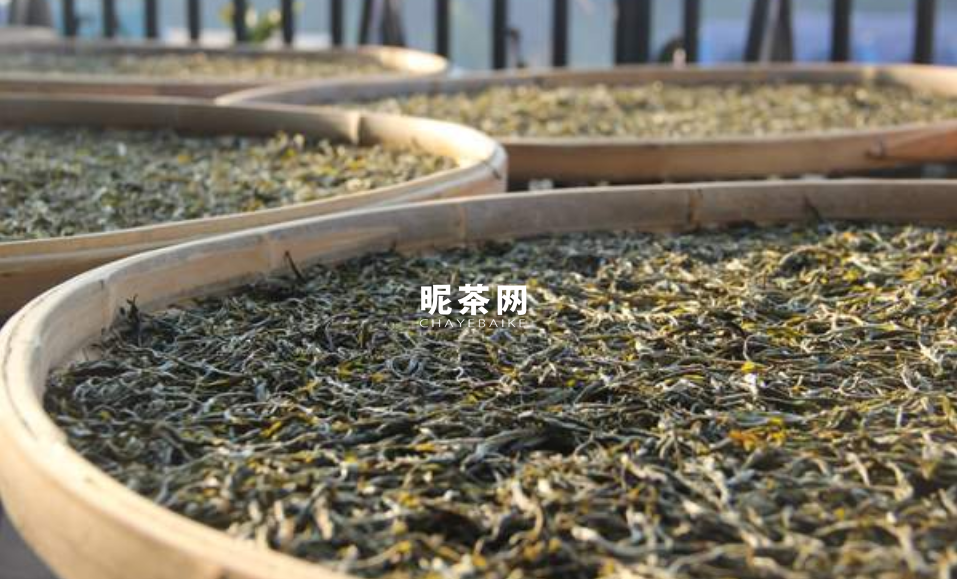 细说布朗山茶区，这些山头你都了解吗