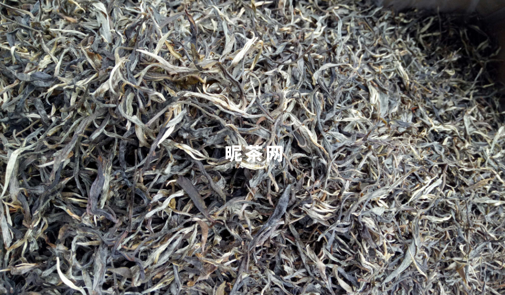 大雪山古树茶属于什么茶