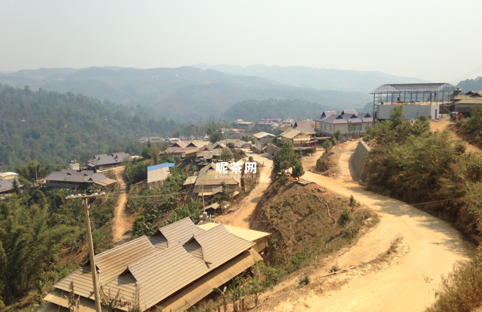 细说布朗山茶区，这些山头你都了解吗