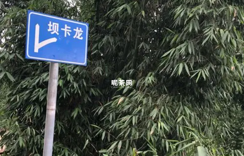 细说布朗山茶区，这些山头你都了解吗