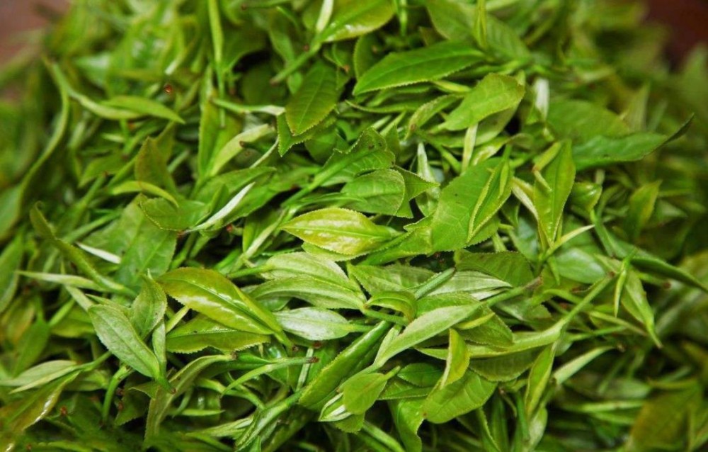 熟普洱茶的耐泡程度如何