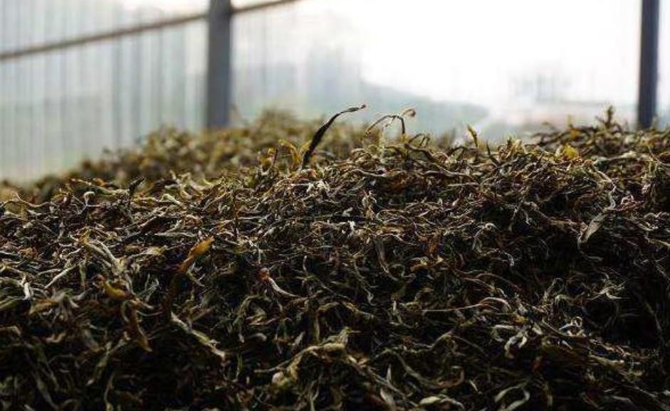 熟普洱茶的耐泡程度如何
