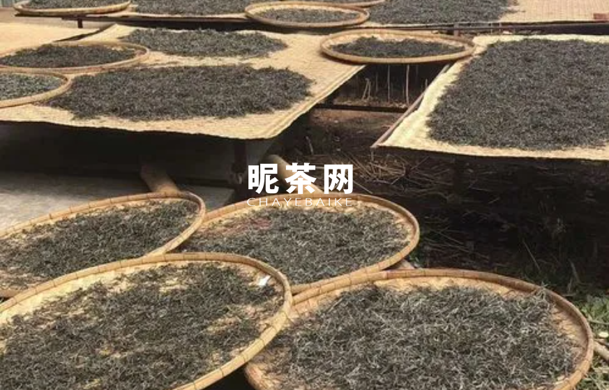 晒青绿茶有哪些茶