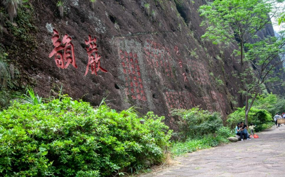 九龙窠肉桂的特点，九龙窠山场与环境介绍