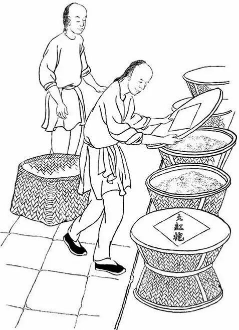 这份武夷岩茶的简介，建议收藏！