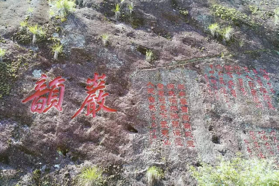 这份武夷岩茶的简介，建议收藏！